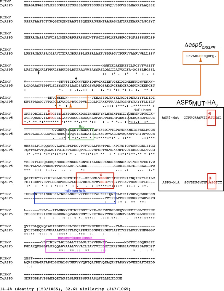 Figure 2—figure supplement 1.