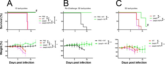 Figure 10.