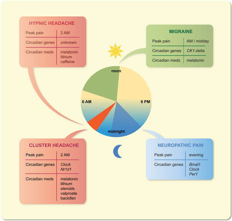 Figure 2: