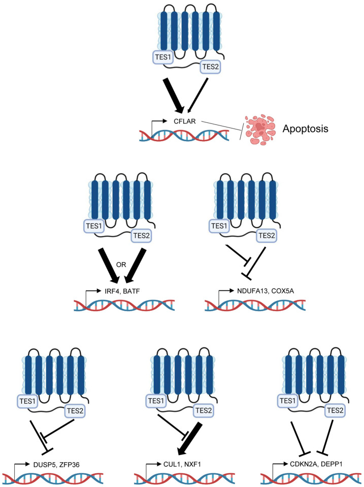 Fig. 9.