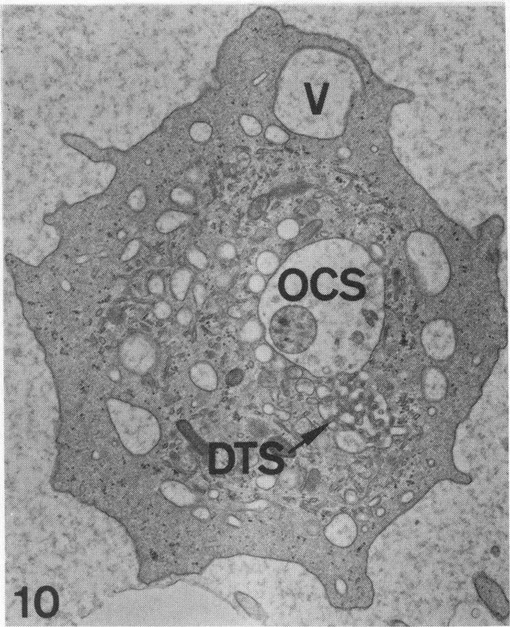 Figure 10