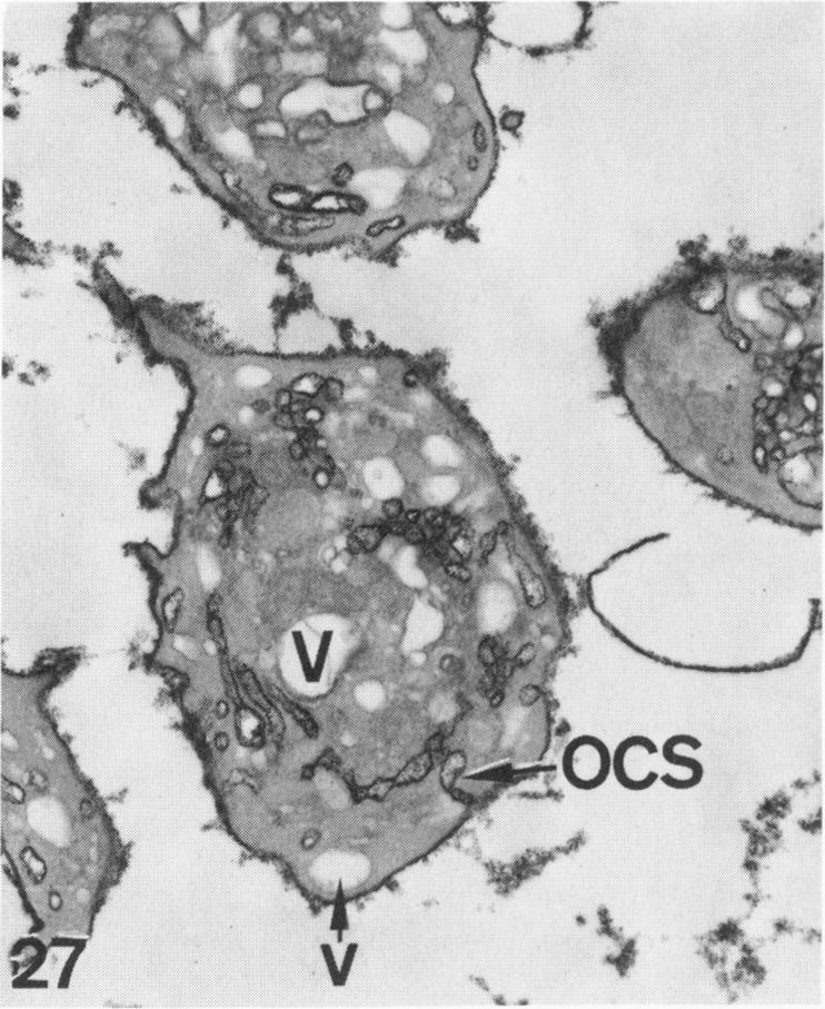 Figure 27