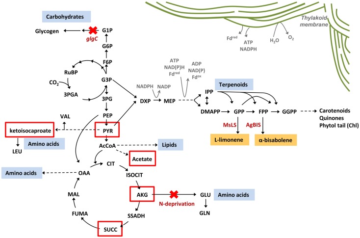 Figure 10