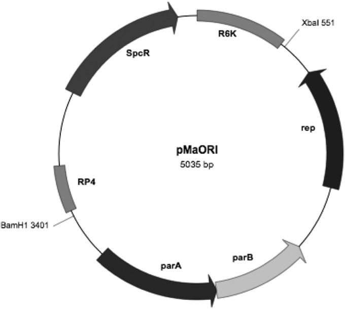 FIG 3