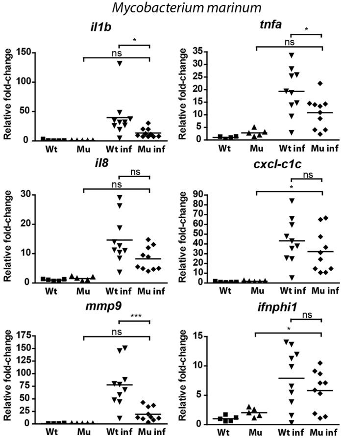 Fig. 7.