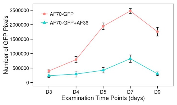 FIGURE 3