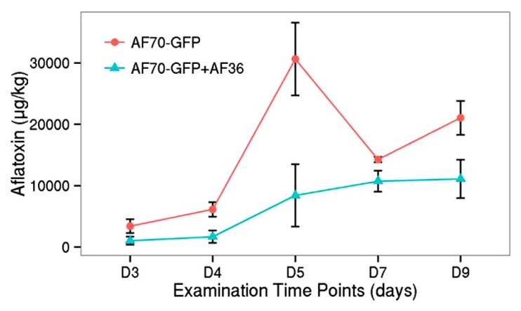 FIGURE 5