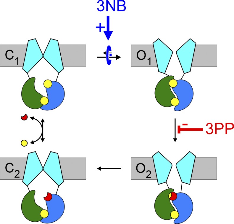 Figure 10.