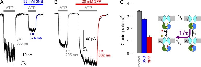 Figure 6.