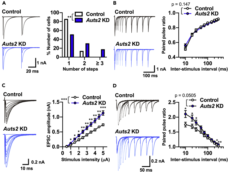 Figure 6