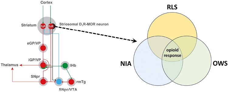 Graphical Abstract