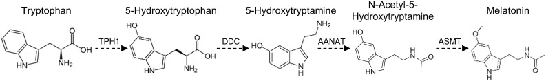 Figure S5.