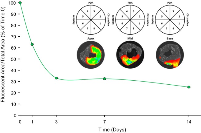 Fig. 2.