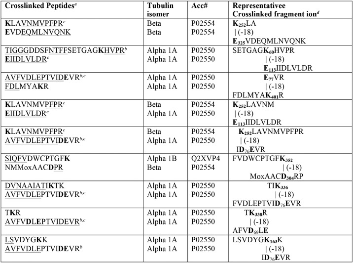 graphic file with name zbc036189264t002.jpg