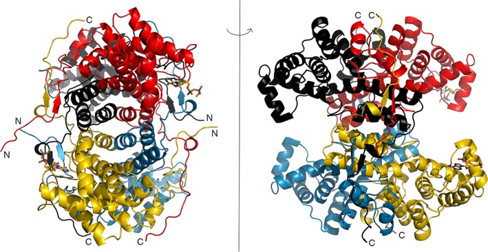 Figure 2