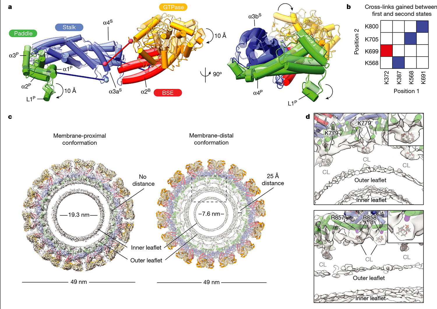 Fig. 4 |