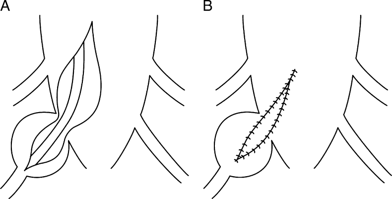 Fig. 10