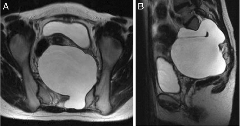 Fig. 5