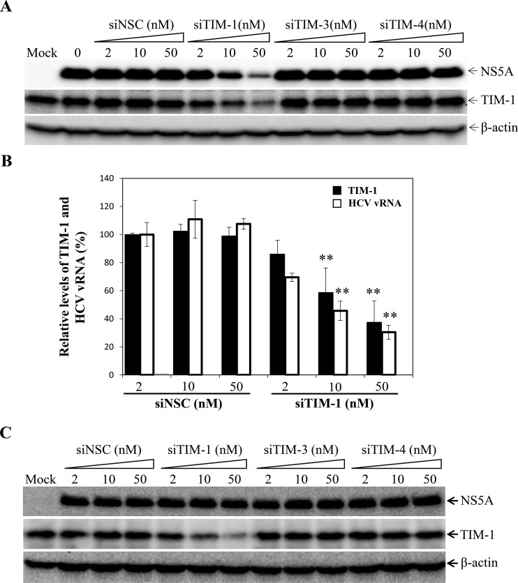 FIG 1