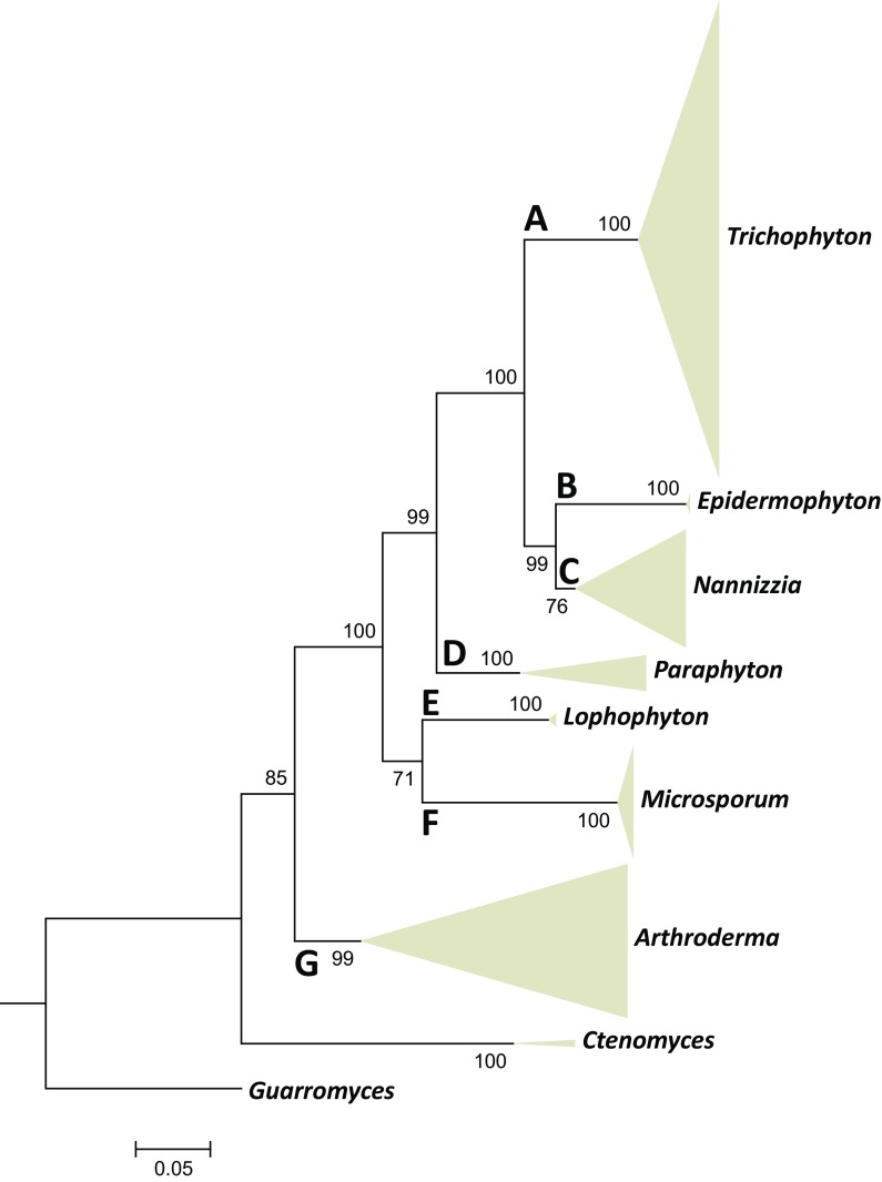 Fig. 3