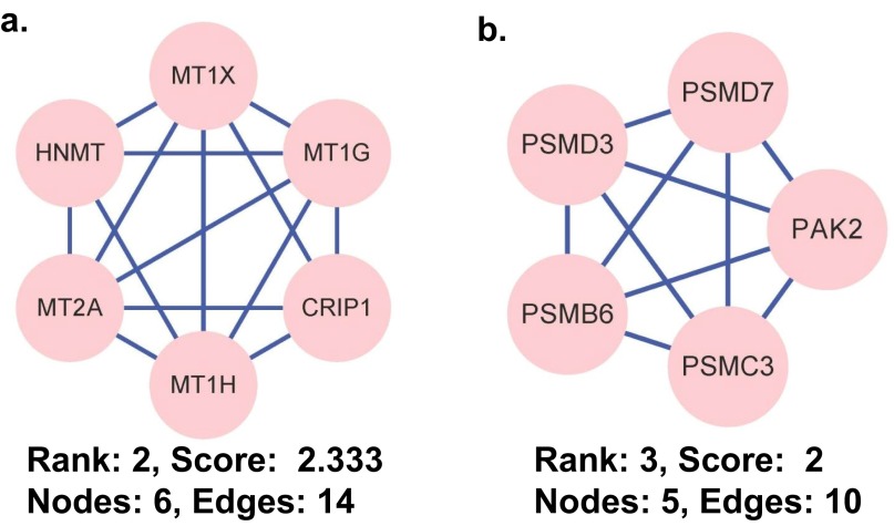 Fig. S3.