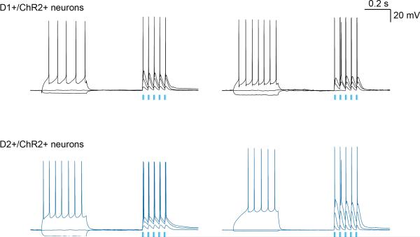 Extended Data Figure 7