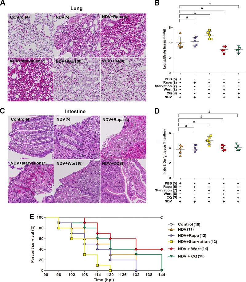 FIG 6