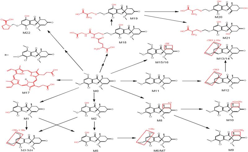 Figure 5