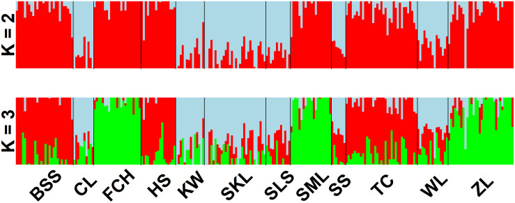 FIGURE 2