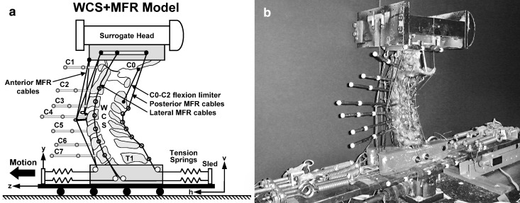 Fig. 1