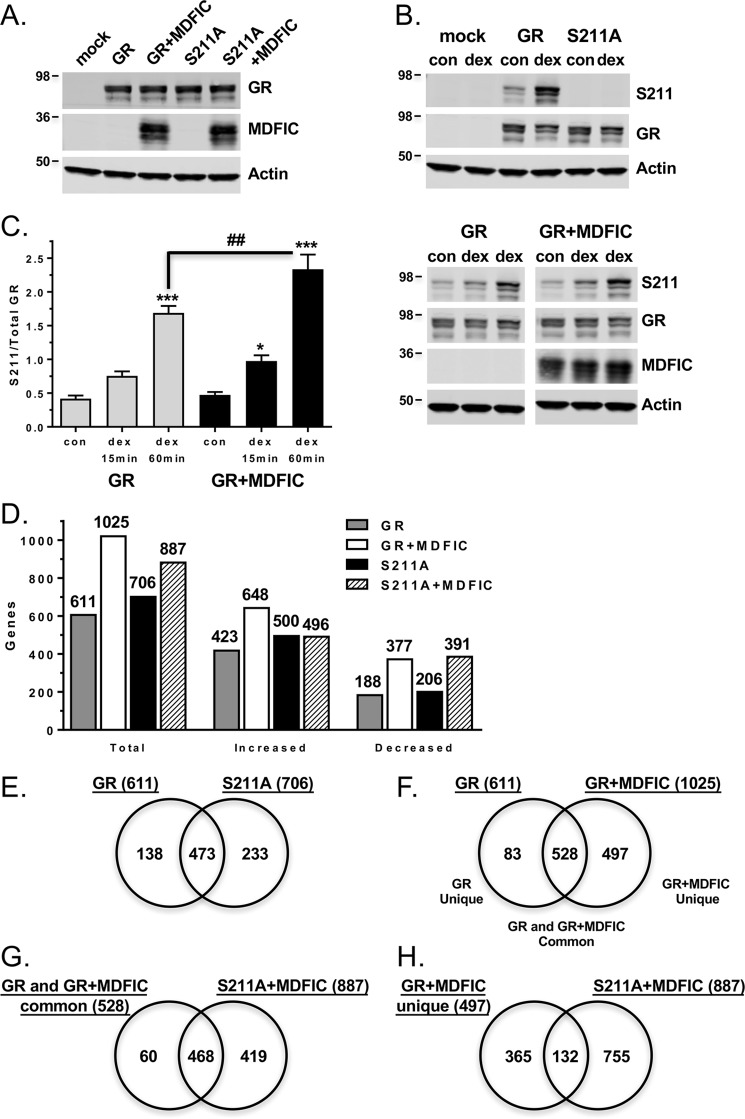 Figure 11.