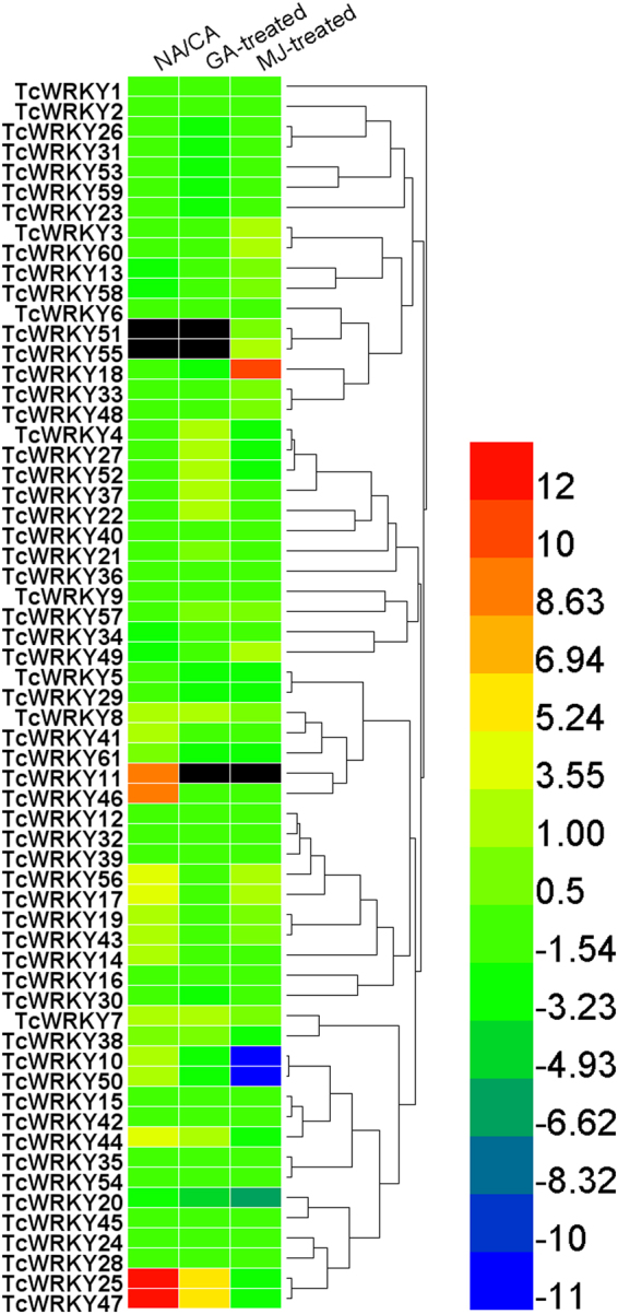 Figure 5