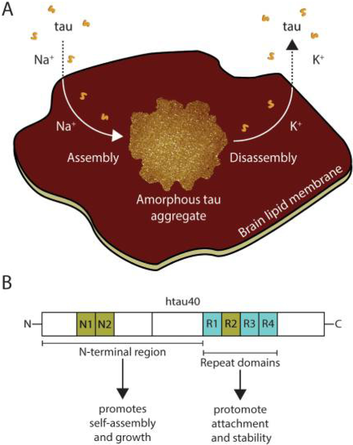 Figure 6.