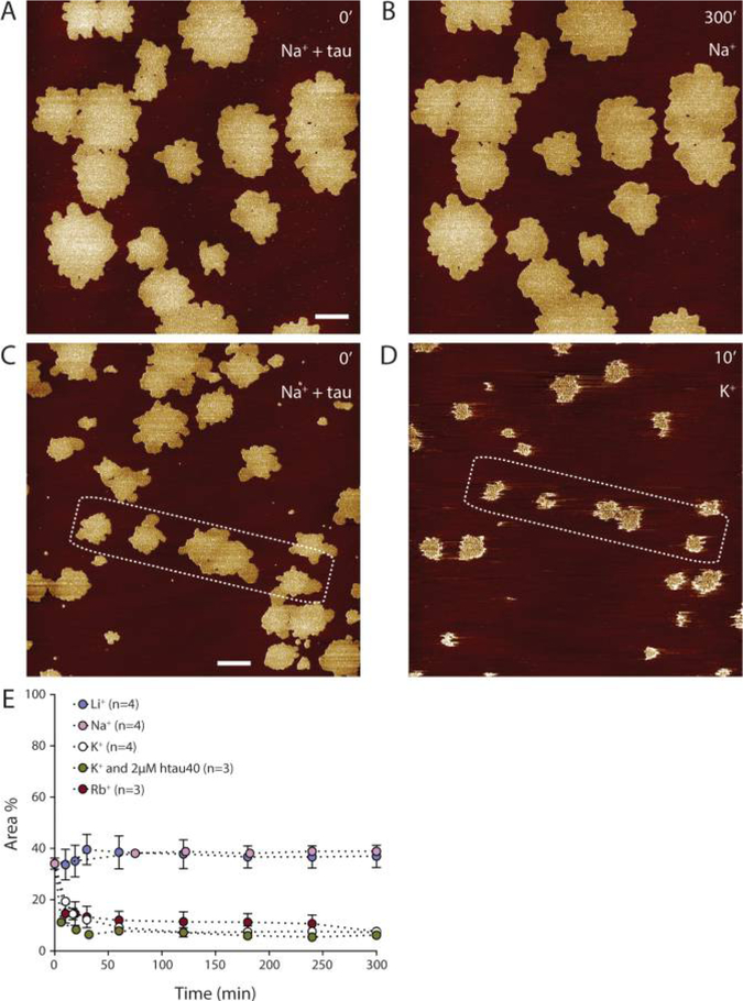 Figure 4.