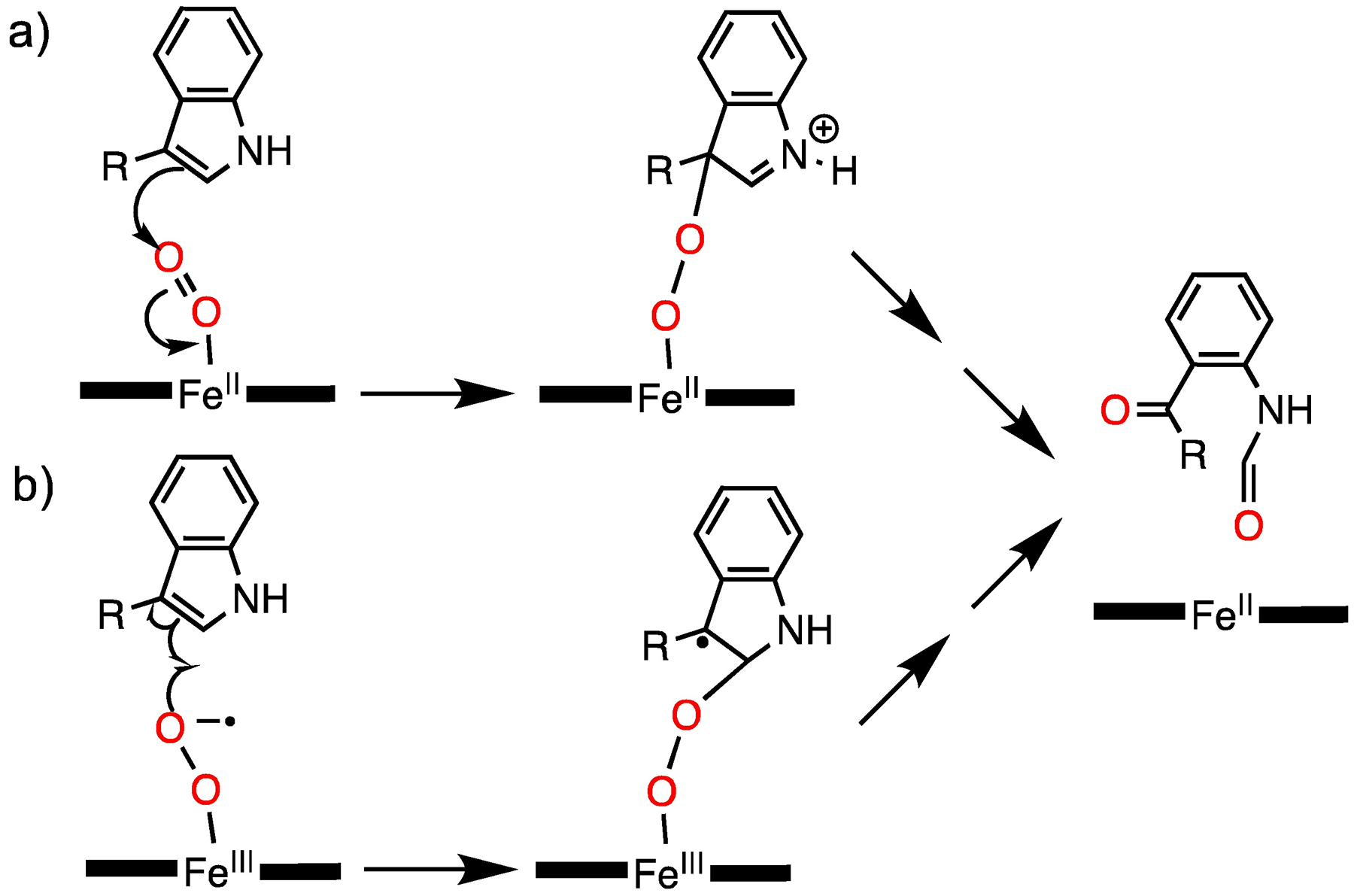 Scheme 3