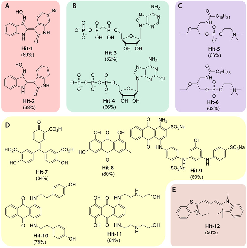 Figure 5.