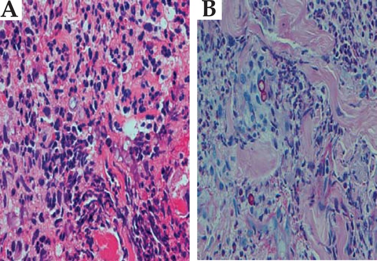 FIGURE 4