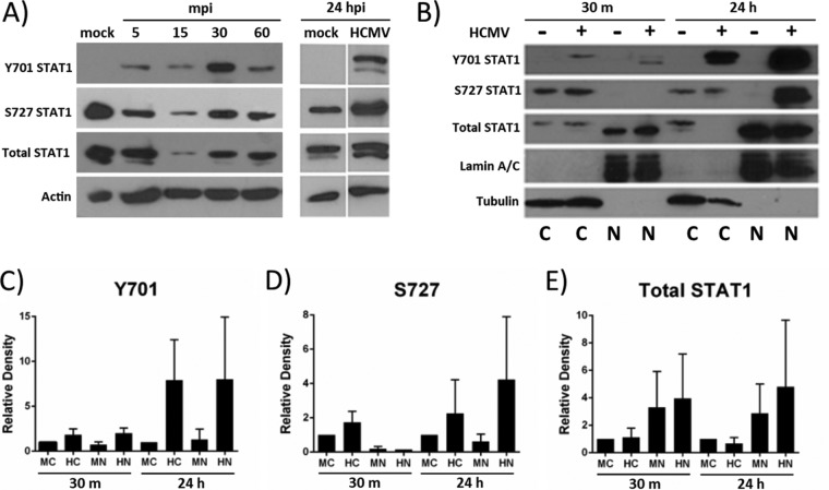 FIG 2