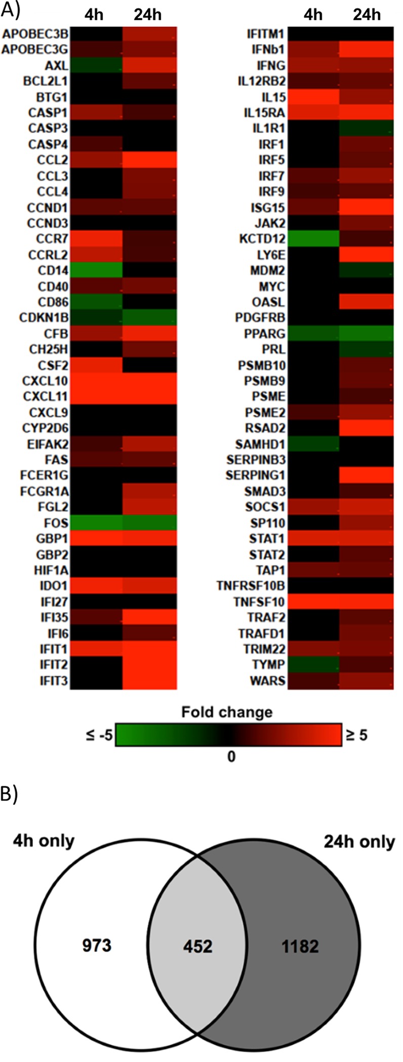 FIG 5