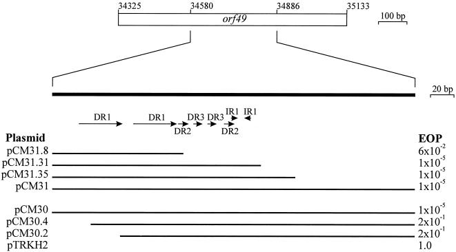 FIG. 5