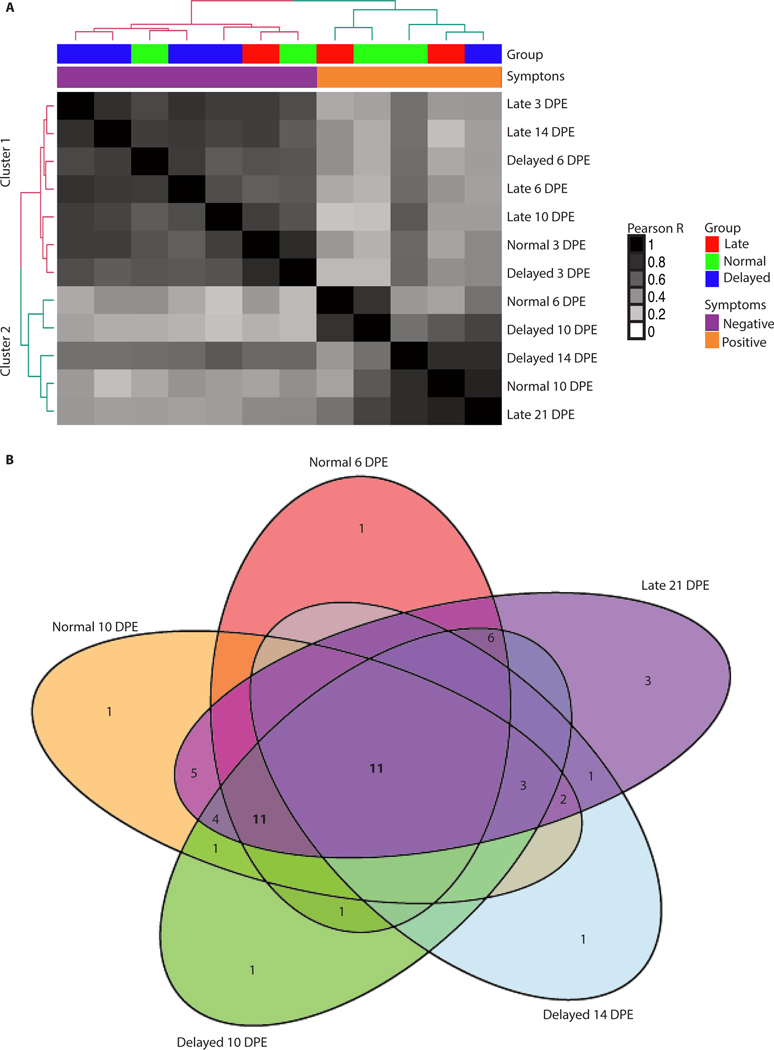 Figure 4: