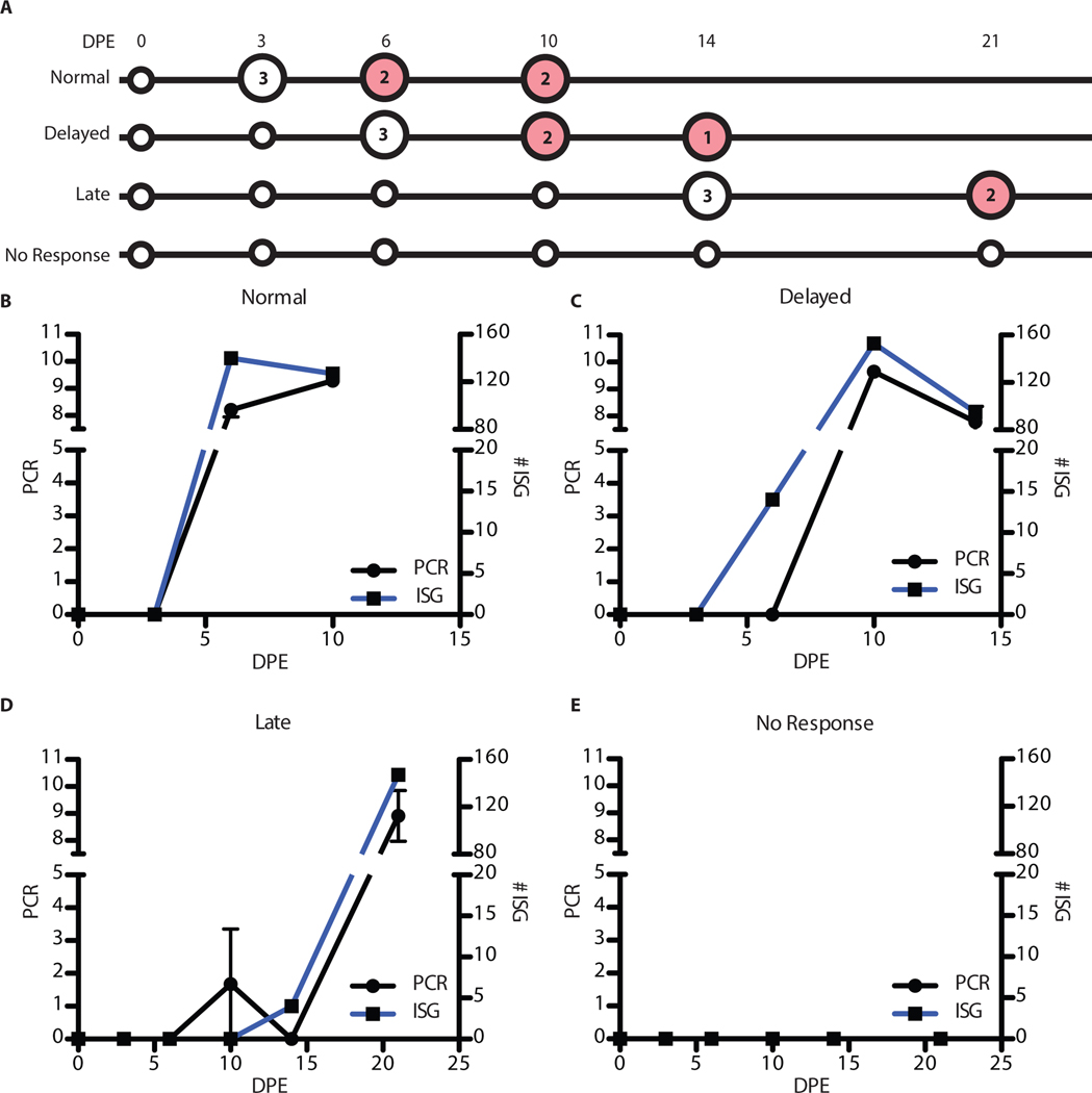 Figure 6: