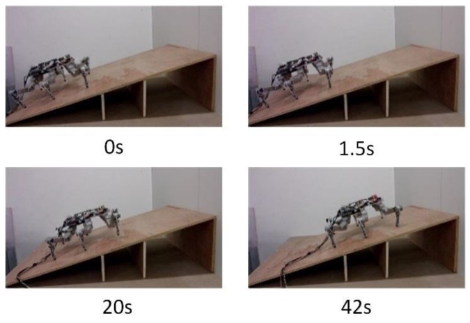 Figure 21