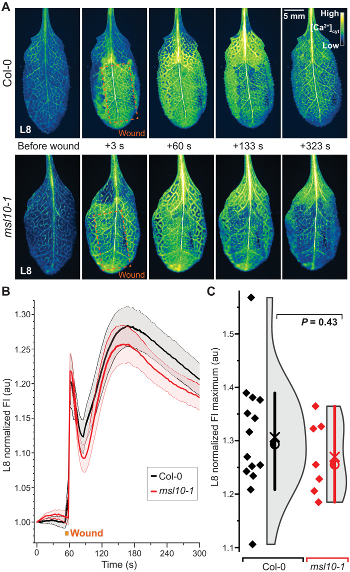 Fig. 9.