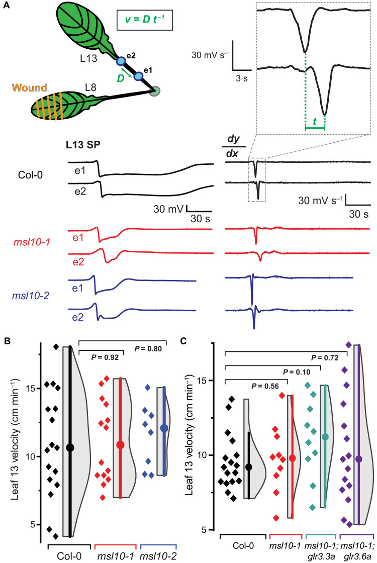 Fig. 4.