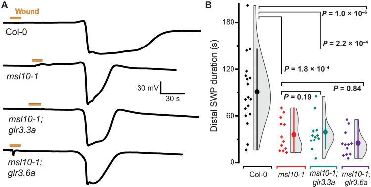 Fig. 6.