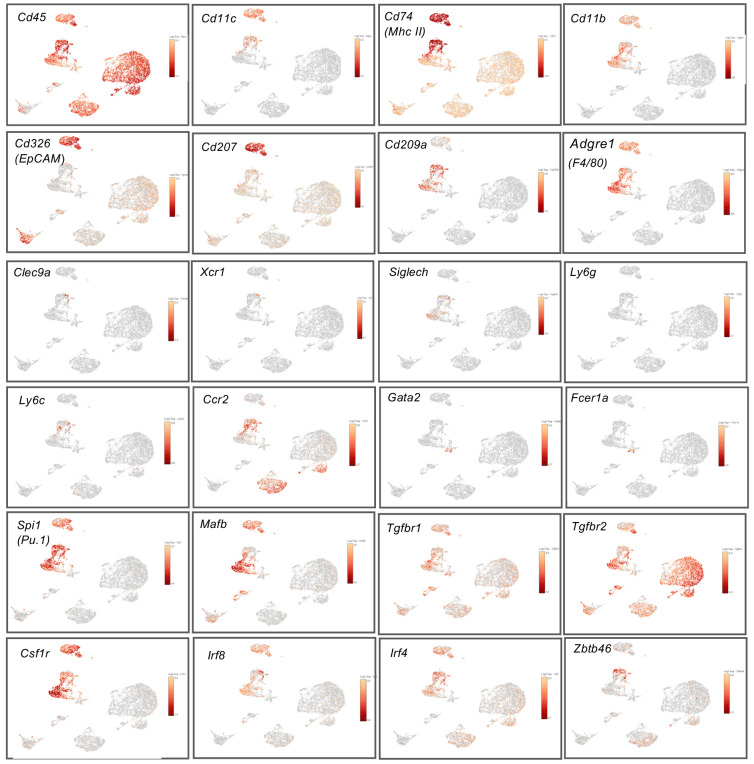 Figure 2—figure supplement 1.