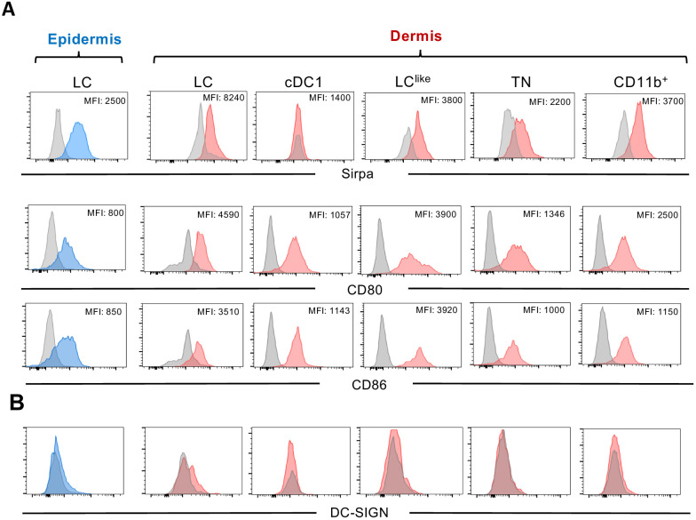 Figure 1—figure supplement 1.