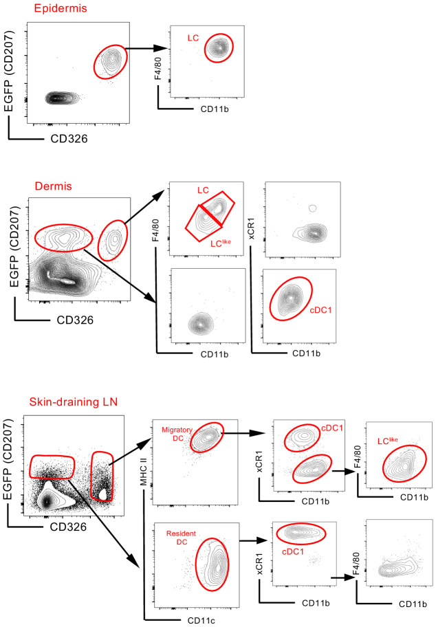 Figure 1—figure supplement 2.