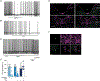 Figure 7: